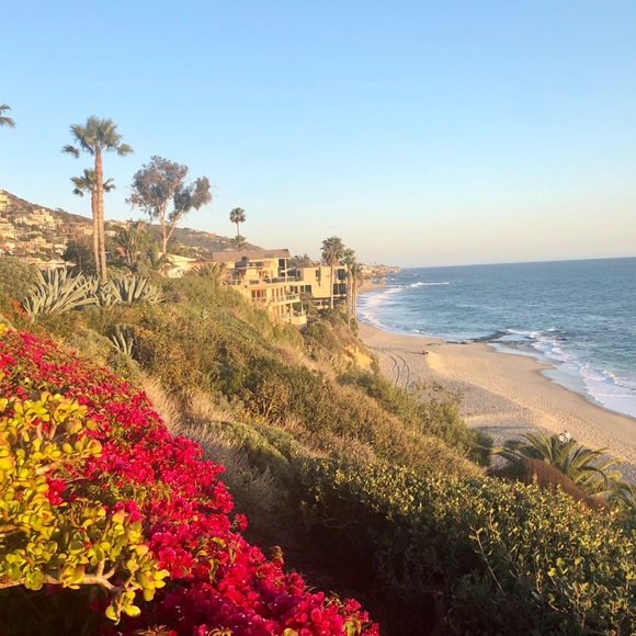 Meet your Posher, Linda - Picture 1 of 1